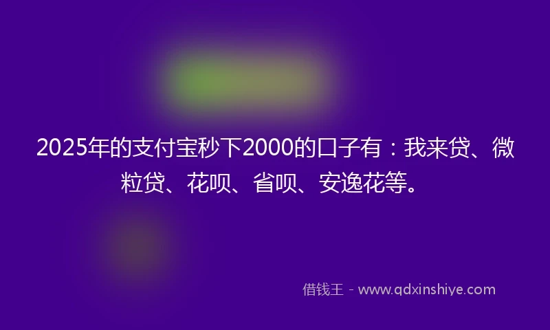 2025年的支付宝秒下2000的口子有：我来贷、微粒贷、花呗、省呗、安逸花等。