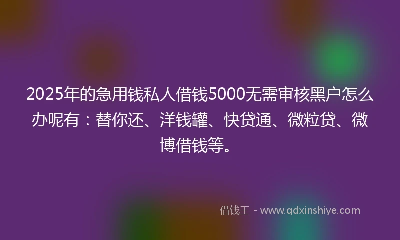 2025年的急用钱私人借钱5000无需审核黑户怎么办呢有：替你还、洋钱罐、快贷通、微粒贷、微博借钱等。