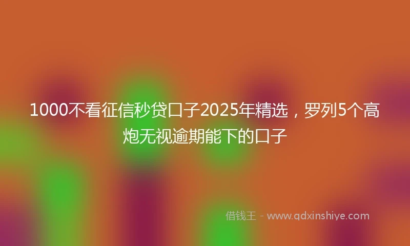 1000不看征信秒贷口子2025年精选，罗列5个高炮无视逾期能下的口子