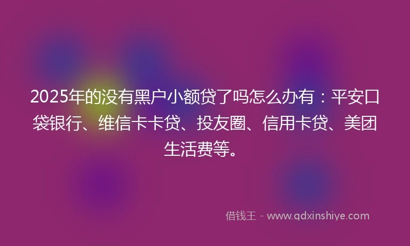 2025年的没有黑户小额贷了吗怎么办有：平安口袋银行、维信卡卡贷、投友圈、信用卡贷、美团生活费等。