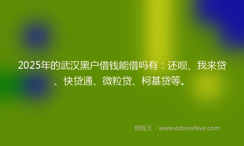 2025年的武汉黑户借钱能借吗有：还呗、我来贷、快贷通、微粒贷、柯基贷等。