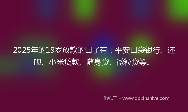2025年的19岁放款的口子有：平安口袋银行、还呗、小米贷款、随身贷、微粒贷等。