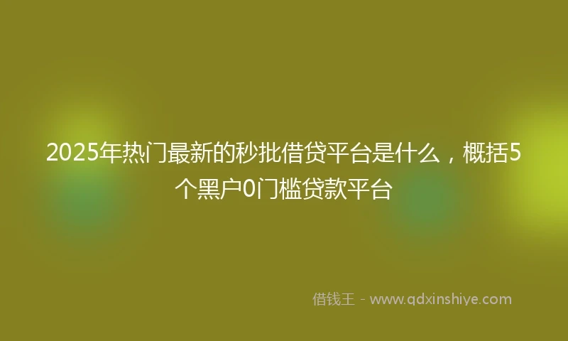 2025年热门最新的秒批借贷平台是什么，概括5个黑户0门槛贷款平台