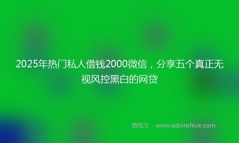 2025年热门私人借钱2000微信，分享五个真正无视风控黑白的网贷