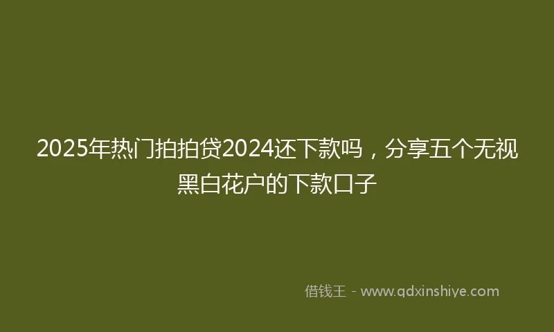 2025年热门拍拍贷2024还下款吗，分享五个无视黑白花户的下款口子