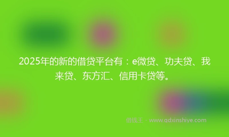 2025年的新的借贷平台有：e微贷、功夫贷、我来贷、东方汇、信用卡贷等。