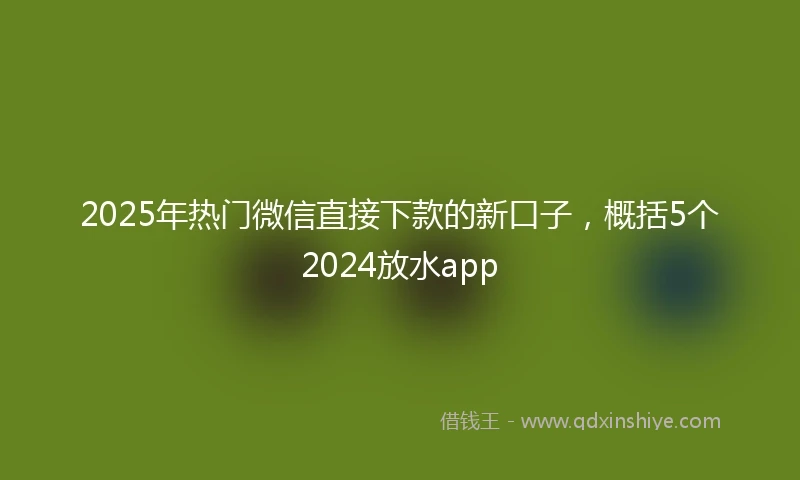 2025年热门微信直接下款的新口子，概括5个2024放水app