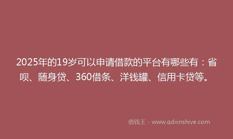 2025年的19岁可以申请借款的平台有哪些有：省呗、随身贷、360借条、洋钱罐、信用卡贷等。
