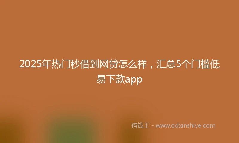 2025年热门秒借到网贷怎么样，汇总5个门槛低易下款app