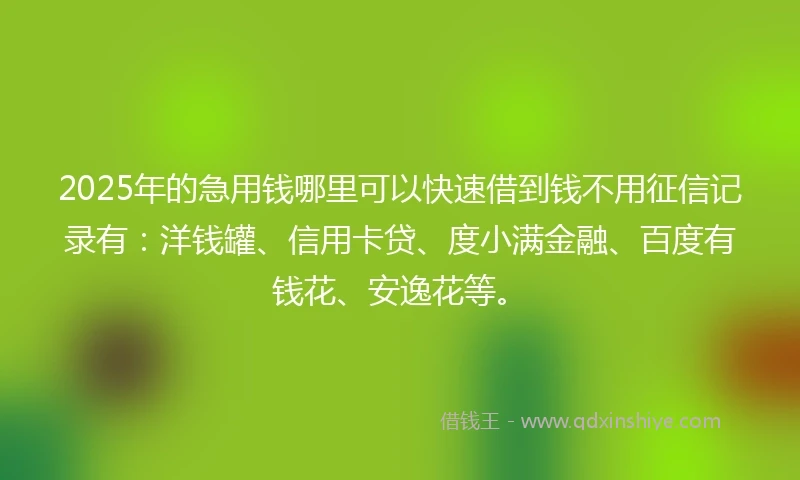 2025年的急用钱哪里可以快速借到钱不用征信记录有：洋钱罐、信用卡贷、度小满金融、百度有钱花、安逸花等。