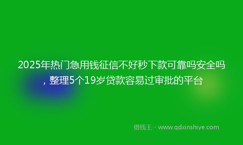 2025年热门急用钱征信不好秒下款可靠吗安全吗，整理5个19岁贷款容易过审批的平台