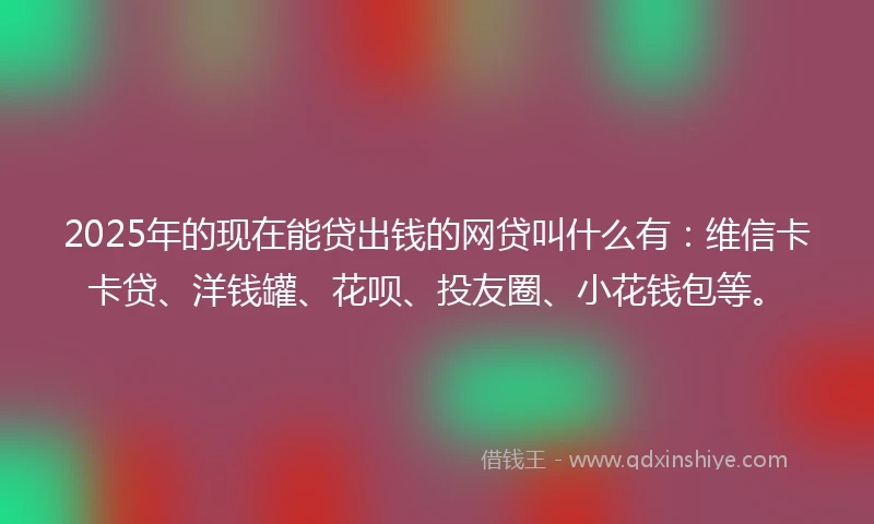 2025年的现在能贷出钱的网贷叫什么有：维信卡卡贷、洋钱罐、花呗、投友圈、小花钱包等。