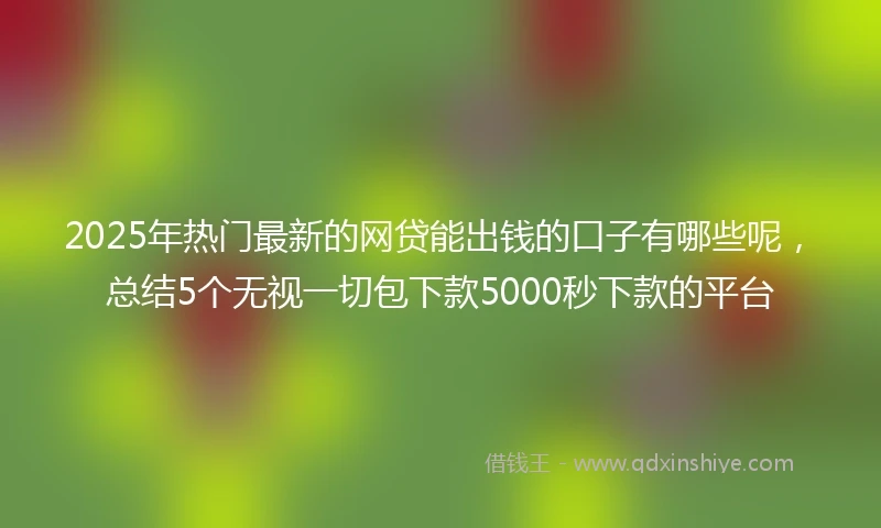 2025年热门最新的网贷能出钱的口子有哪些呢，总结5个无视一切包下款5000秒下款的平台