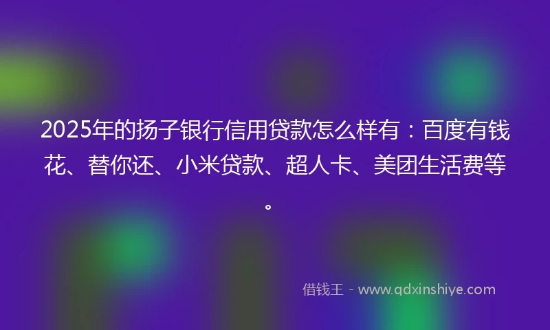 2025年的扬子银行信用贷款怎么样有：百度有钱花、替你还、小米贷款、超人卡、美团生活费等。