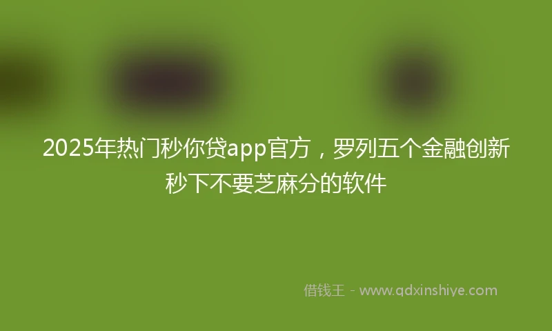 2025年热门秒你贷app官方，罗列五个金融创新秒下不要芝麻分的软件