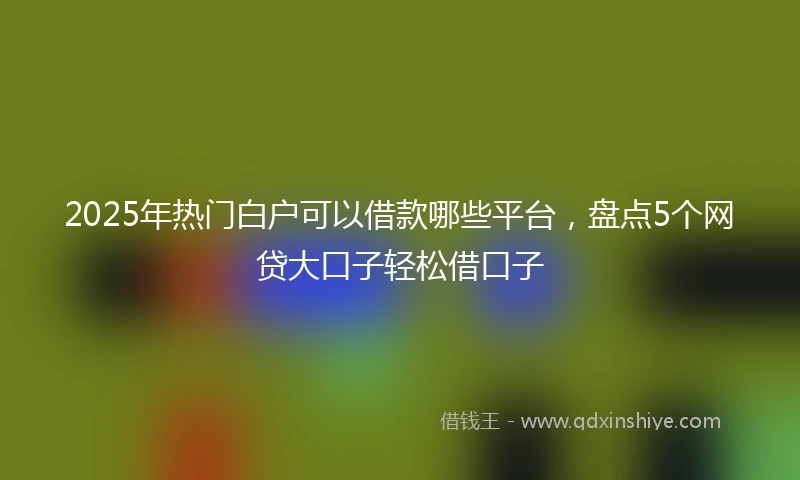 2025年热门白户可以借款哪些平台，盘点5个网贷大口子轻松借口子
