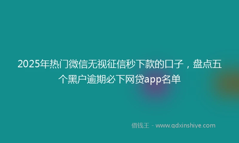 2025年热门微信无视征信秒下款的口子，盘点五个黑户逾期必下网贷app名单