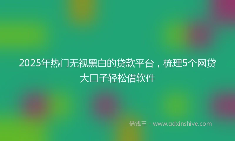 2025年热门无视黑白的贷款平台，梳理5个网贷大口子轻松借软件