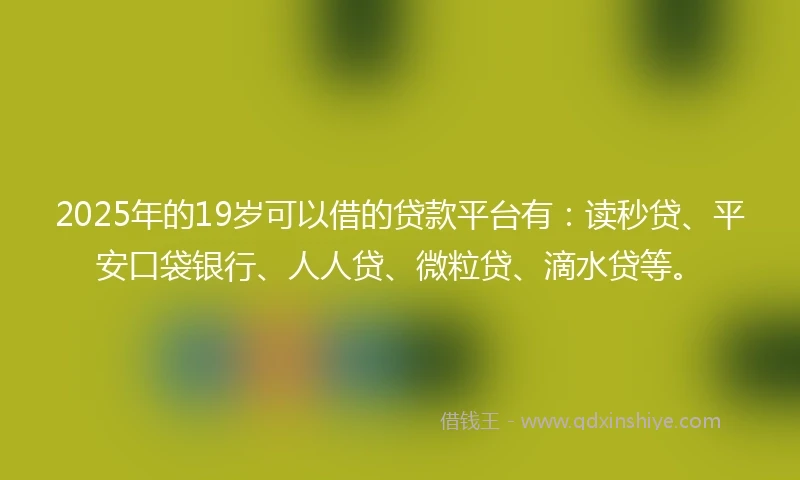 2025年的19岁可以借的贷款平台有：读秒贷、平安口袋银行、人人贷、微粒贷、滴水贷等。
