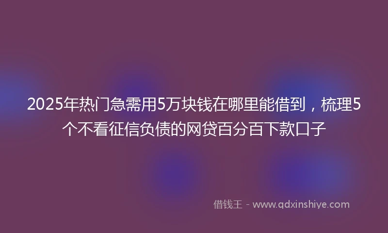 2025年热门急需用5万块钱在哪里能借到，梳理5个不看征信负债的网贷百分百下款口子