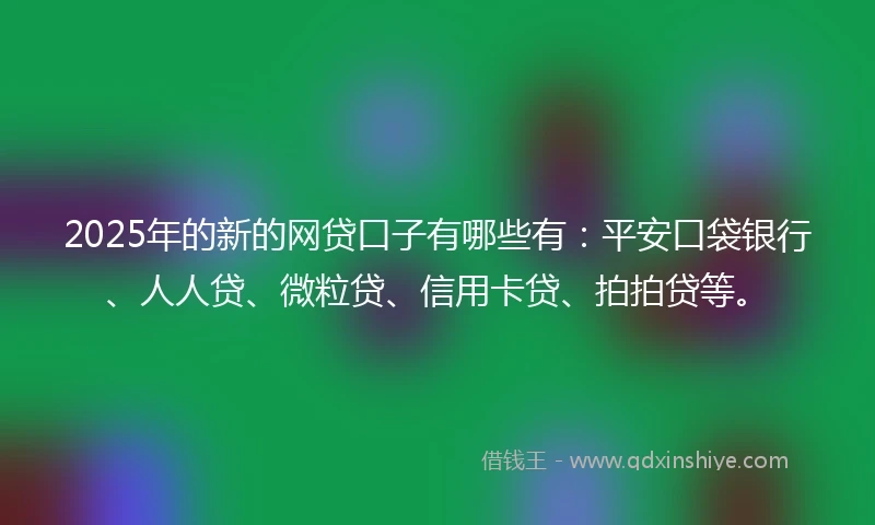 2025年的新的网贷口子有哪些有：平安口袋银行、人人贷、微粒贷、信用卡贷、拍拍贷等。