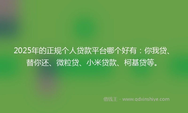 2025年的正规个人贷款平台哪个好有：你我贷、替你还、微粒贷、小米贷款、柯基贷等。