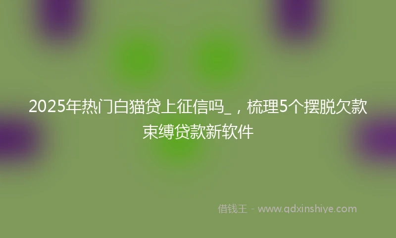 2025年热门白猫贷上征信吗_，梳理5个摆脱欠款束缚贷款新软件