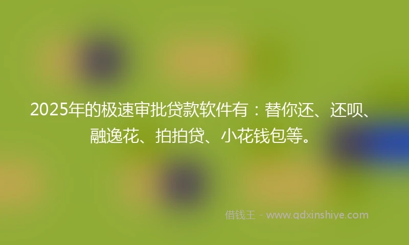 2025年的极速审批贷款软件有：替你还、还呗、融逸花、拍拍贷、小花钱包等。