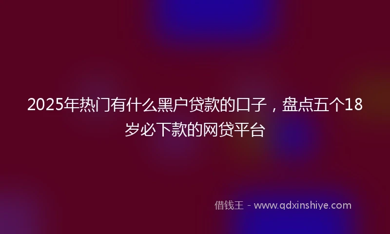 2025年热门有什么黑户贷款的口子，盘点五个18岁必下款的网贷平台