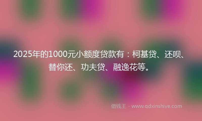 2025年的1000元小额度贷款有:柯基贷、还呗、替你还、功夫贷、融逸花等。