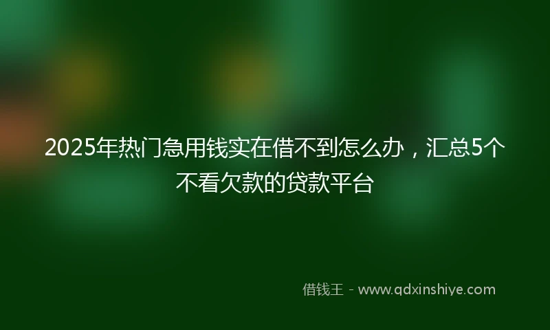 2025年热门急用钱实在借不到怎么办，汇总5个不看欠款的贷款平台