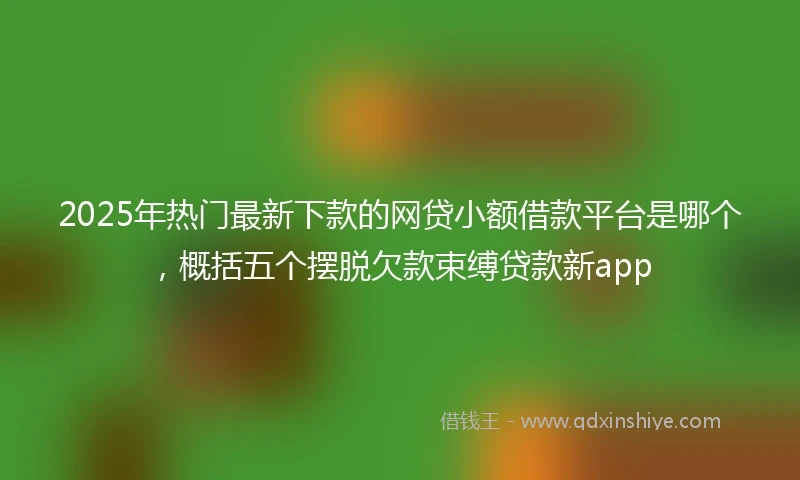 2025年热门最新下款的网贷小额借款平台是哪个，概括五个摆脱欠款束缚贷款新app