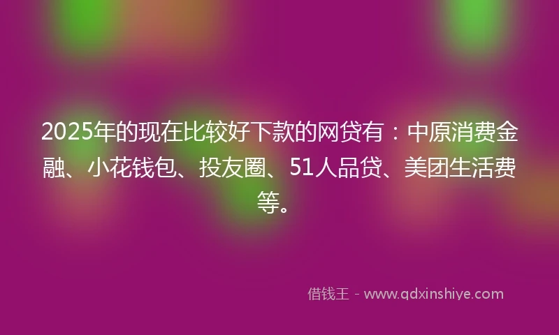 2025年的现在比较好下款的网贷有：中原消费金融、小花钱包、投友圈、51人品贷、美团生活费等。