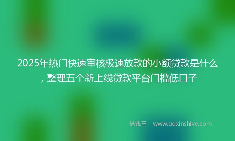 2025年热门快速审核极速放款的小额贷款是什么，整理五个新上线贷款平台门槛低口子