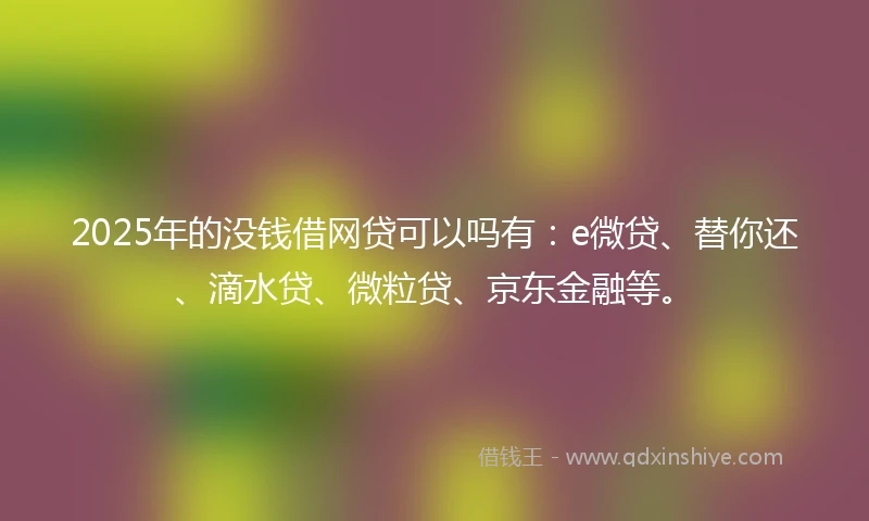 2025年的没钱借网贷可以吗有：e微贷、替你还、滴水贷、微粒贷、京东金融等。