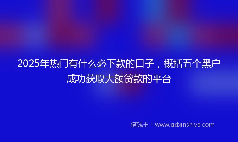 2025年热门有什么必下款的口子，概括五个黑户成功获取大额贷款的平台