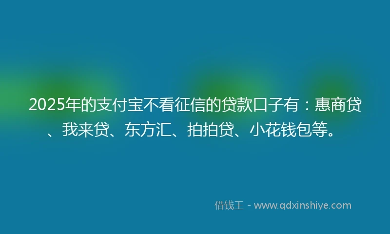 2025年的支付宝不看征信的贷款口子有：惠商贷、我来贷、东方汇、拍拍贷、小花钱包等。