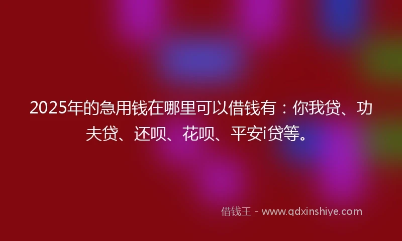 2025年的急用钱在哪里可以借钱有：你我贷、功夫贷、还呗、花呗、平安i贷等。