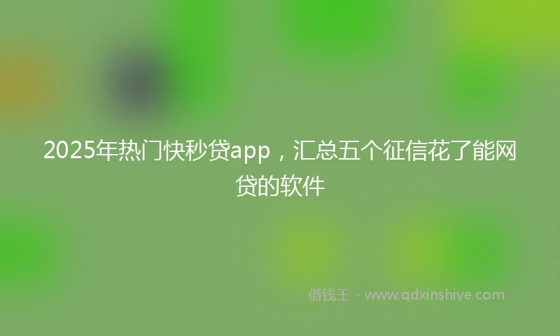 2025年热门快秒贷app，汇总五个征信花了能网贷的软件