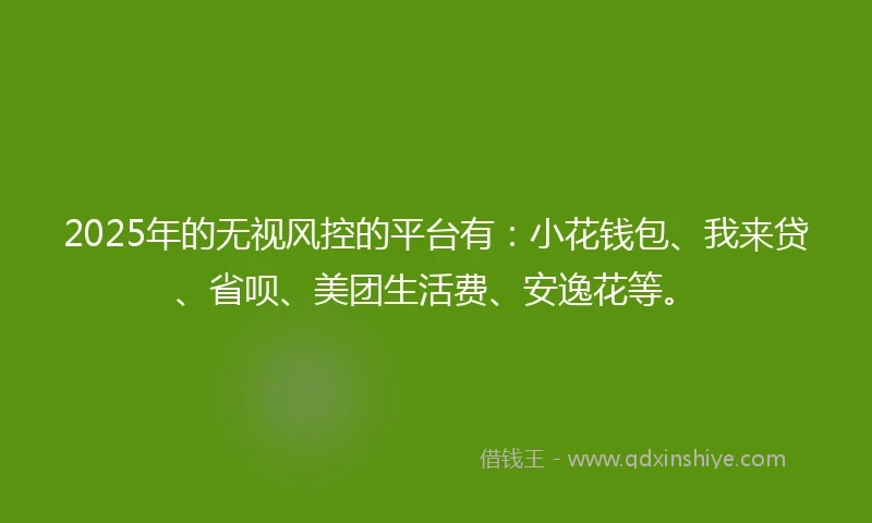 2025年的无视风控的平台有：小花钱包、我来贷、省呗、美团生活费、安逸花等。