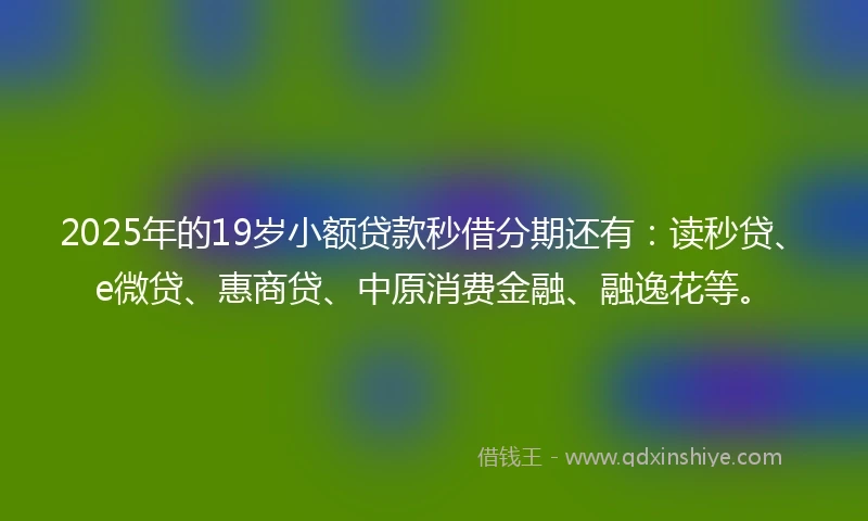 2025年的19岁小额贷款秒借分期还有：读秒贷、e微贷、惠商贷、中原消费金融、融逸花等。