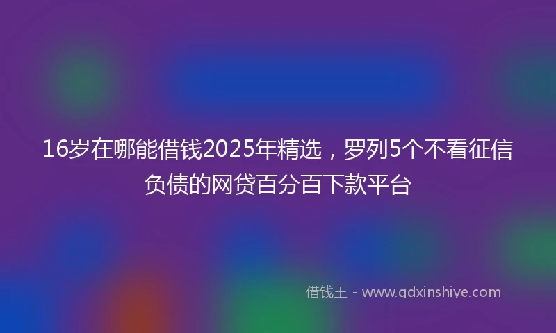 16岁在哪能借钱2025年精选，罗列5个不看征信负债的网贷百分百下款平台