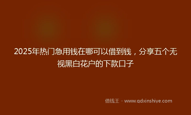 2025年热门急用钱在哪可以借到钱，分享五个无视黑白花户的下款口子