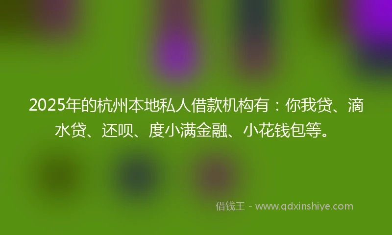 2025年的杭州本地私人借款机构有：你我贷、滴水贷、还呗、度小满金融、小花钱包等。