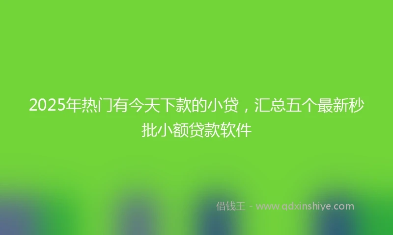 2025年热门有今天下款的小贷，汇总五个最新秒批小额贷款软件