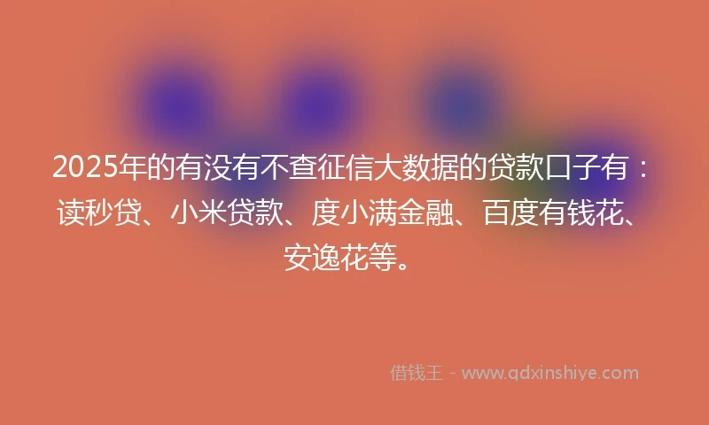 2025年的有没有不查征信大数据的贷款口子有：读秒贷、小米贷款、度小满金融、百度有钱花、安逸花等。