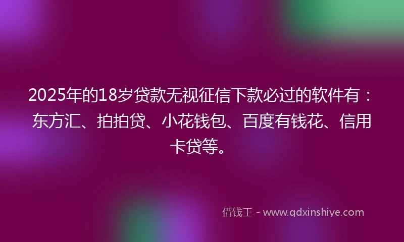 2025年的18岁贷款无视征信下款必过的软件有：东方汇、拍拍贷、小花钱包、百度有钱花、信用卡贷等。