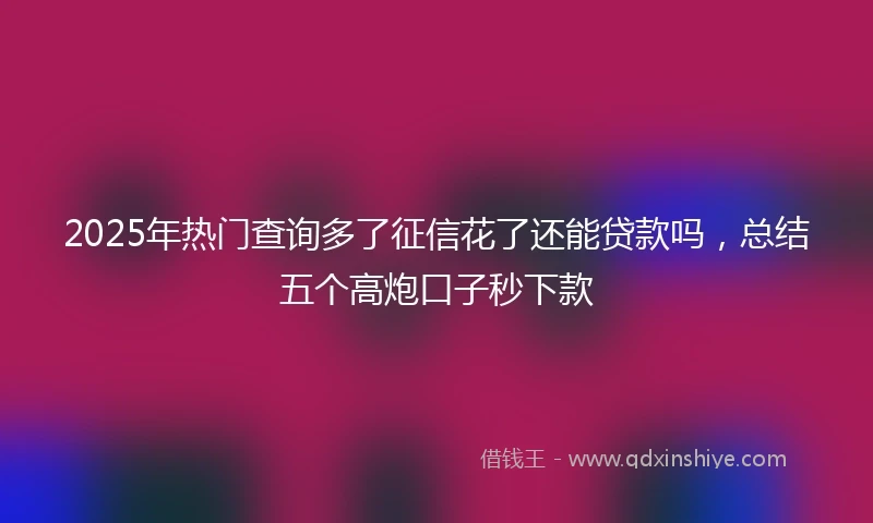 2025年热门查询多了征信花了还能贷款吗，总结五个高炮口子秒下款
