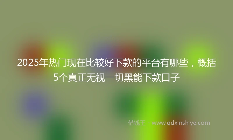 2025年热门现在比较好下款的平台有哪些，概括5个真正无视一切黑能下款口子
