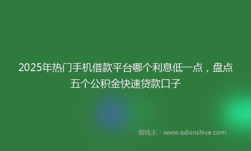 2025年热门手机借款平台哪个利息低一点，盘点五个公积金快速贷款口子